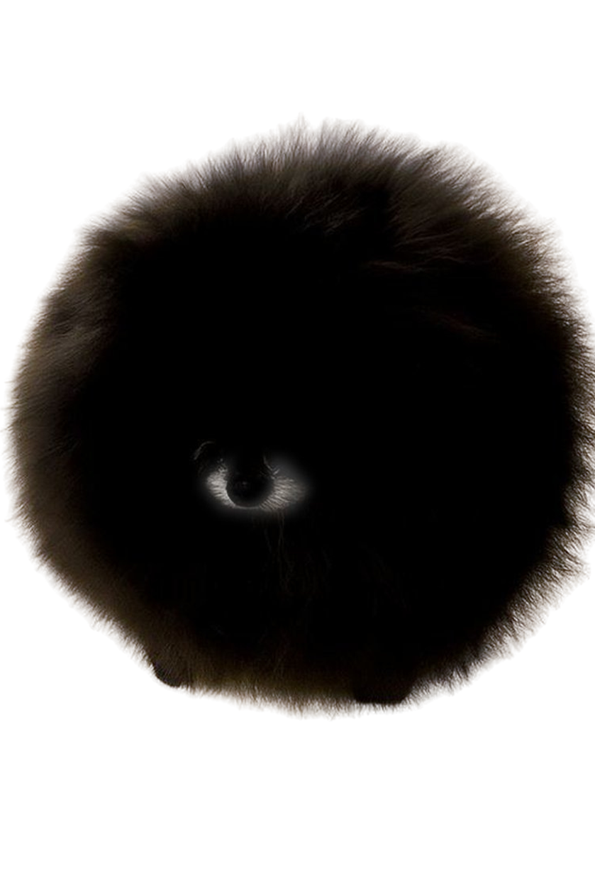 hasbu